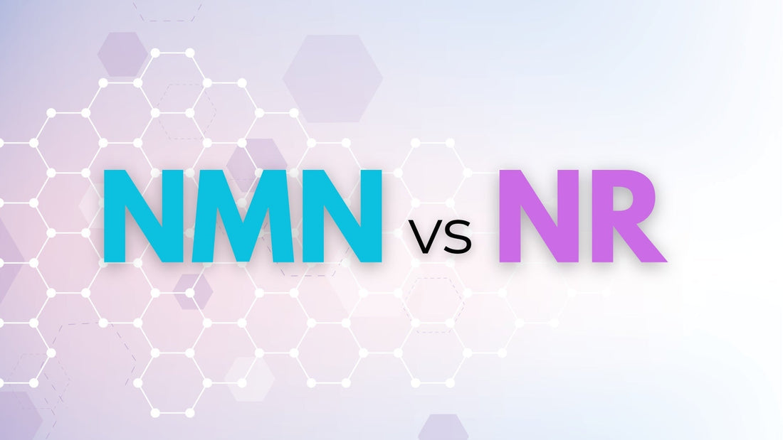 NMN vs NR: Which NAD+ Supplement is Better for You?